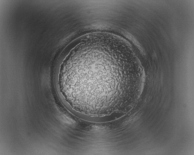 X0000072510442200607141136