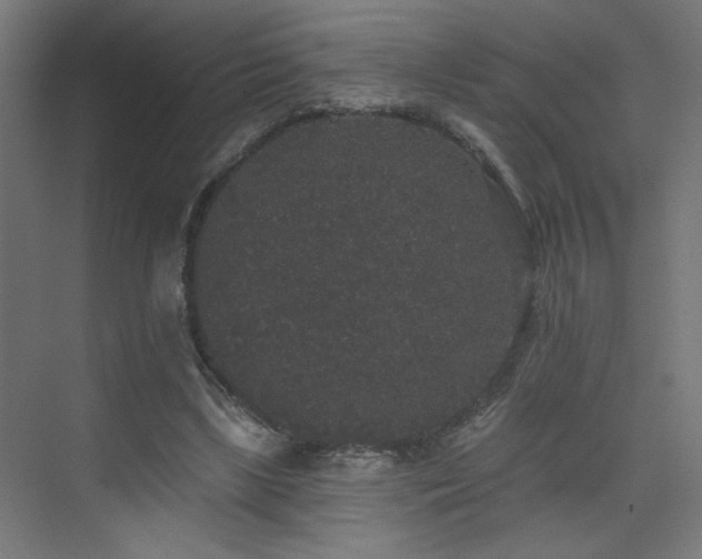 X0000072510443200607141136