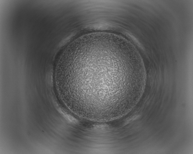 X0000072510446200607141136