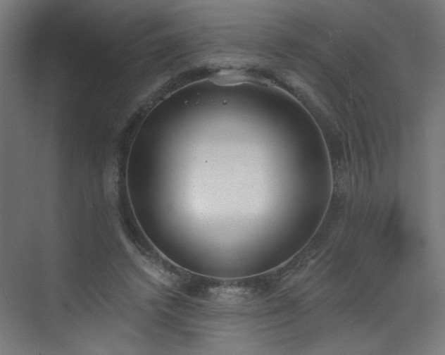 X0000072510448200607141136