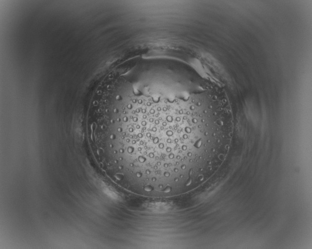 X0000072510449200607141136