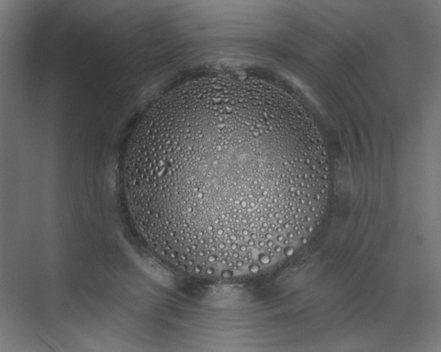 X0000072510451200607141136