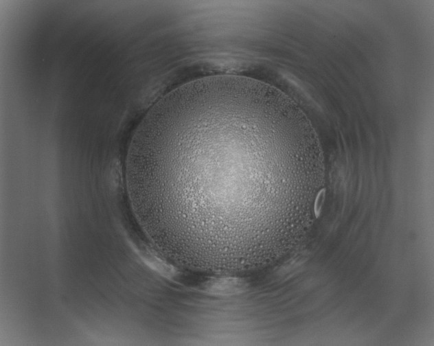 X0000072510459200607141136