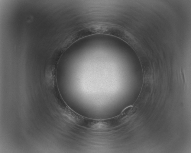 X0000072510460200607141136