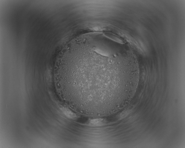 X0000072510461200607141136