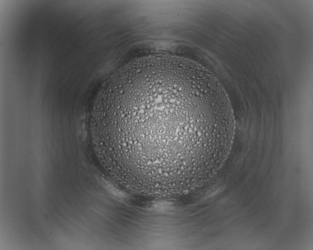X0000072510462200607141136