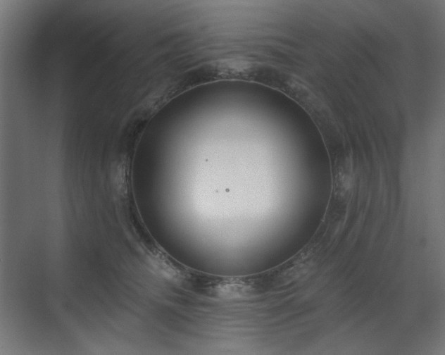 X0000072510468200607141136