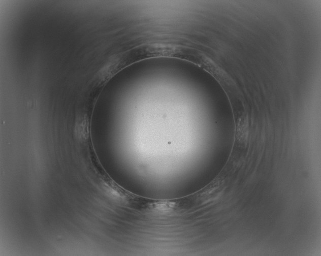 X0000072510474200607141137