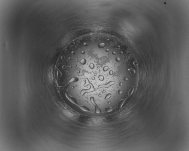 X0000072510479200607141137