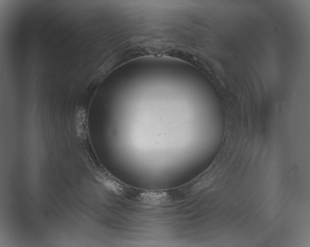 X0000072510480200607141137