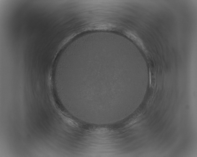 X0000072510483200607141136