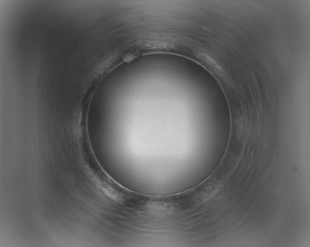 X0000072510490200607141136