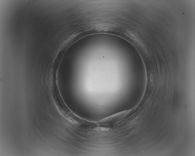 X0000072510492200607141136