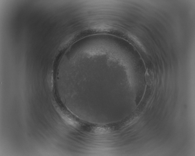 X0000072510494200607141136