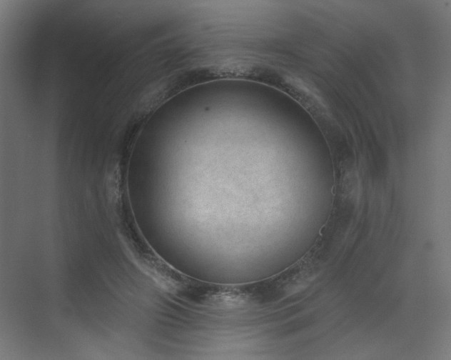 X0000072510498200607141136