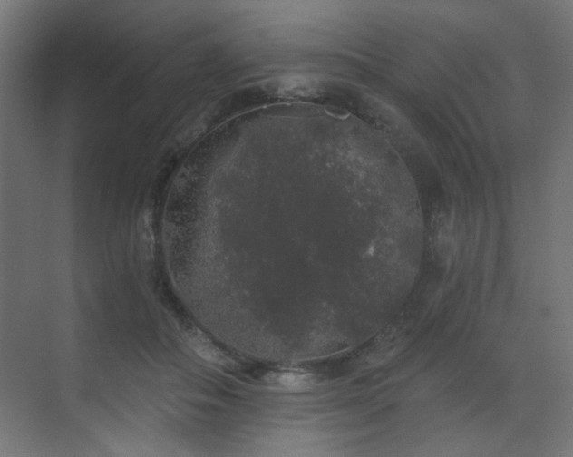 X0000072510506200607141135