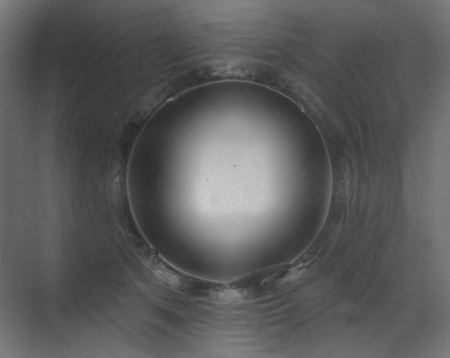 X0000072510513200607141135