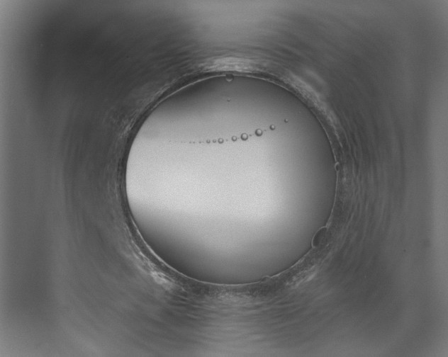 X0000072510529200607141134