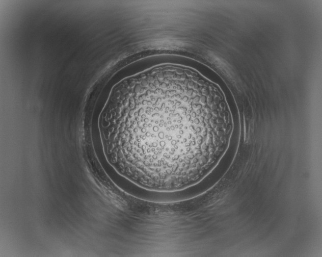 X0000072510531200607141134