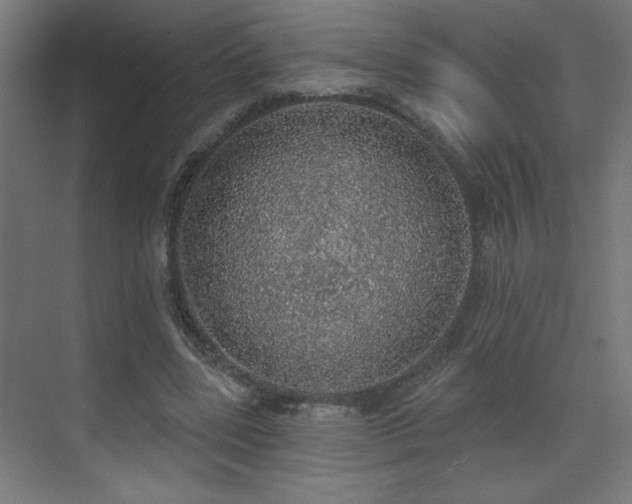 X0000072510539200607141134