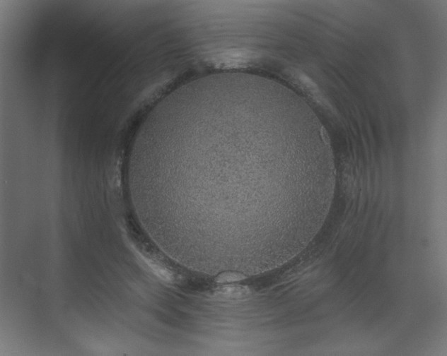 X0000072510543200607141134