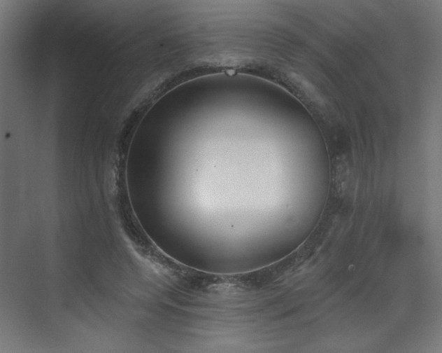 X0000072510544200607141135