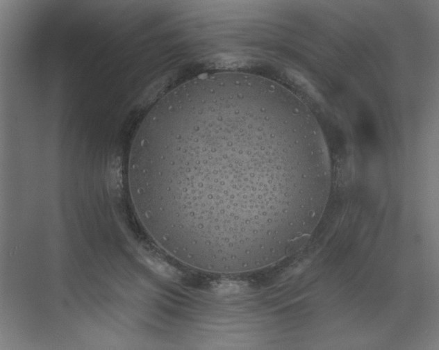 X0000072510549200607141135