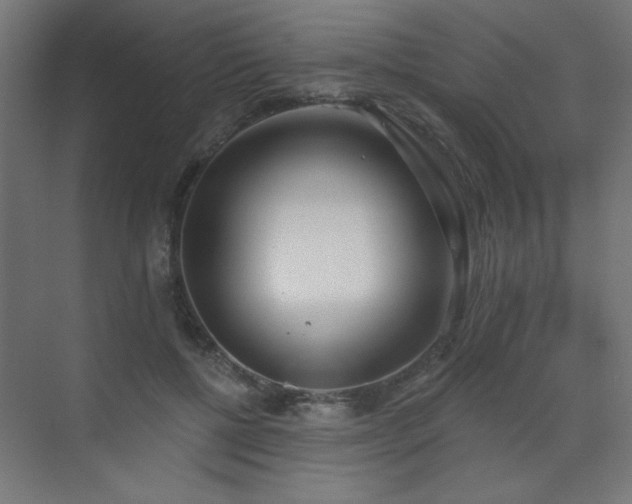 X0000072510552200607141135