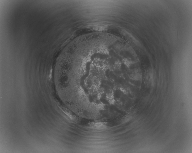 X0000072510553200607141135