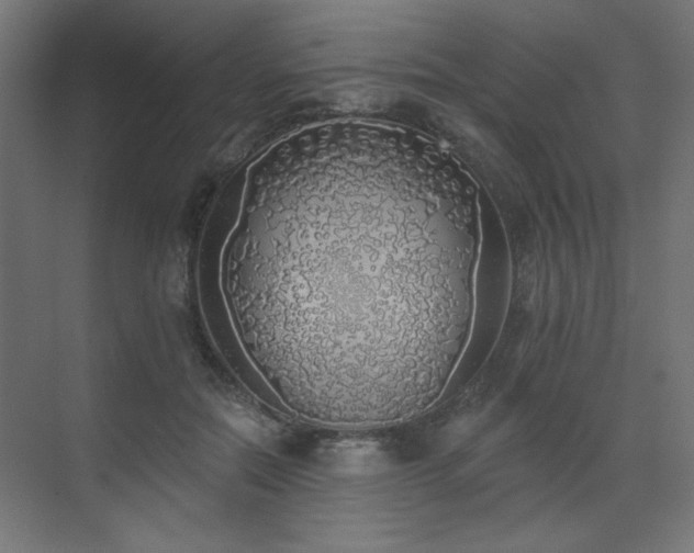 X0000072510554200607141135