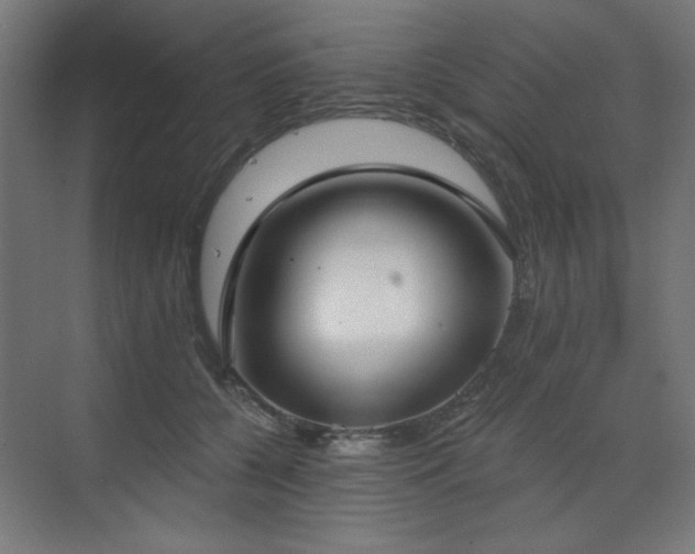 X0000072510560200607141135