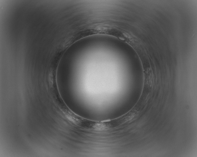 X0000072510562200607141135