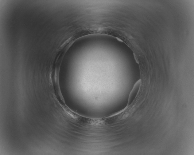 X0000072510576200607141135
