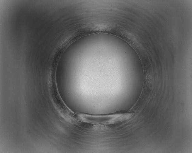 X0000072510591200607141134