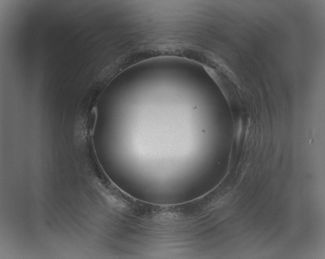 X0000072510593200607141134