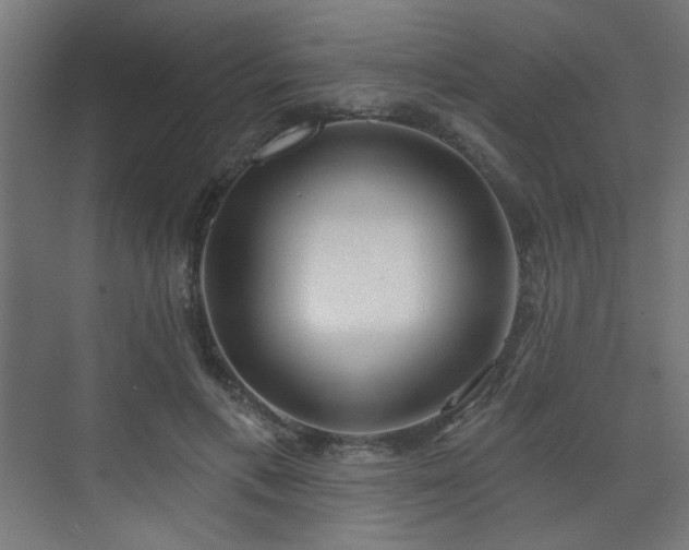 X0000072510597200607141134