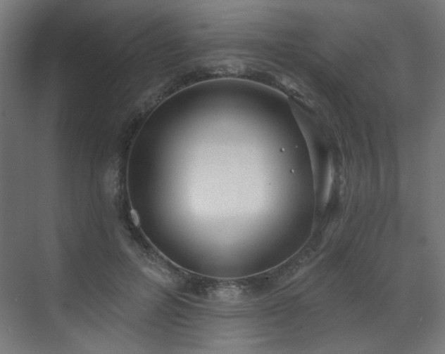 X0000072510600200607141134