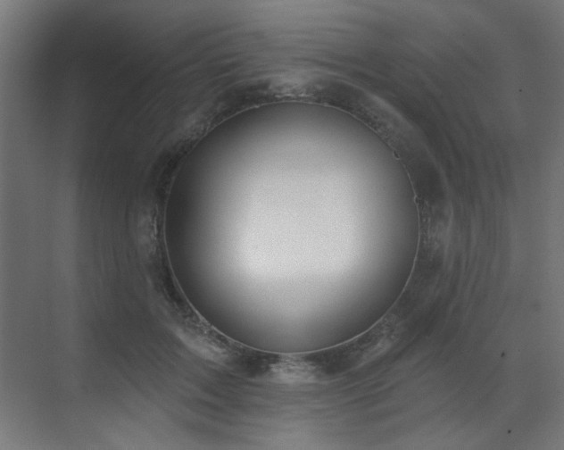 X0000072510603200607141134