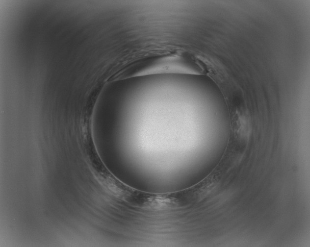 X0000072510607200607141134