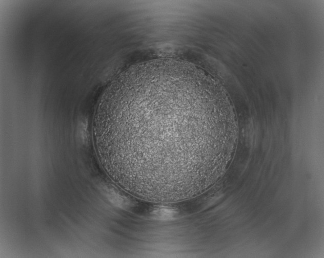 X0000072510610200607141134