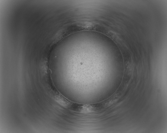 X0000072510612200607141134