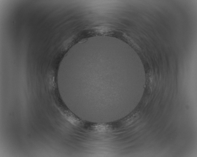 X0000072510615200607141134