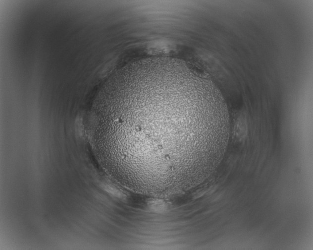 X0000072510616200607141134