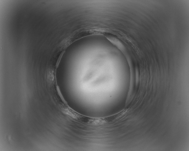 X0000072510621200607141134