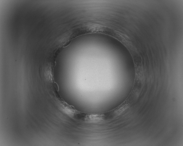 X0000072510622200607141133