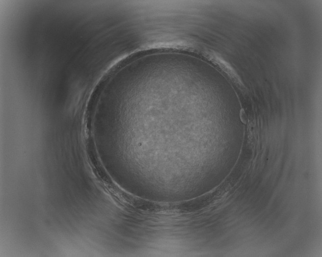 X0000072510628200607141133