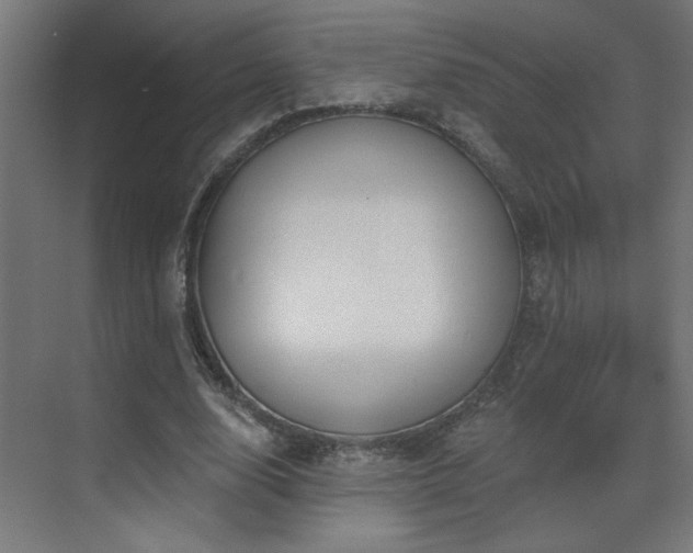 X0000072510632200607141133