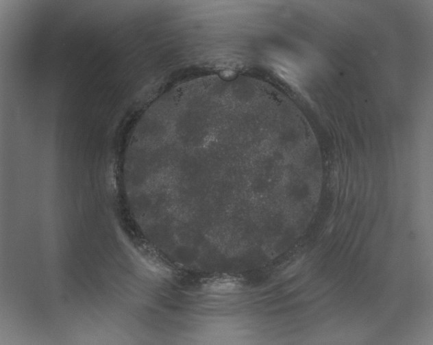 X0000072510643200607141133