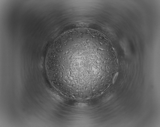 X0000072510649200607141133
