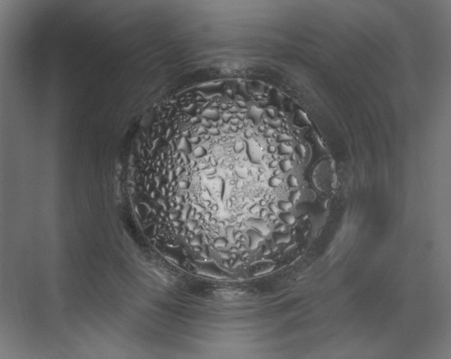 X0000072510650200607141133